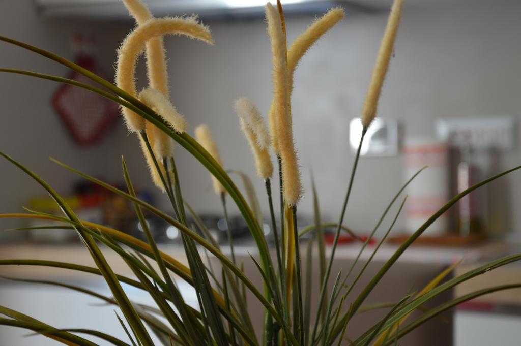 Luxury Apartment In Rattazzi Róma Kültér fotó